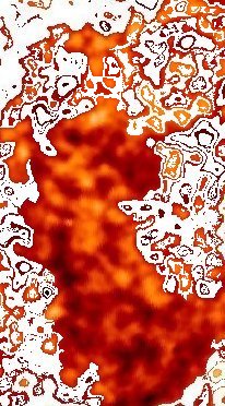 ARMATO di fraternit�!