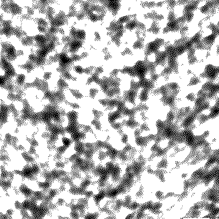  ..viene con le nubi e ogni occhio lo vedr�, anche coloro che lo hanno trafitto.. {Ap. 1, 7}