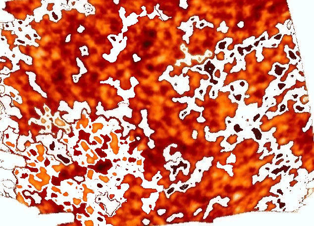  ..sorgeva dalla terra, aveva due corna simile a quelle dell'agnello, parlava come un drago.. - ..ferita dalla spada, ma aveva ripreso vita.. {Ap. 13, 11-14}