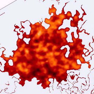 Luca 2, 22: E quando furono compiuti i giorni della loro purificazione, secondo la legge di Mos�, lo portarono a Gerusalemme per presentarlo al Signore.. 