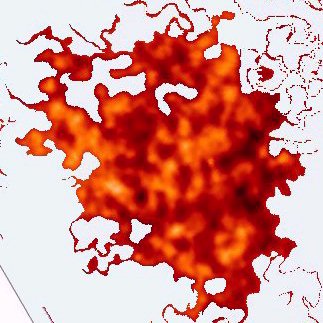 Ap. 10, 9: Io mi diressi verso l'angelo per dirgli di consegnarmi il piccolo libro. Ed egli mi disse ''Prendi e mangialo.. ''.