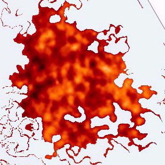 Apocalisse 19, 9: Beati coloro che sono chiamati al convito delle nozze dell'agnello.