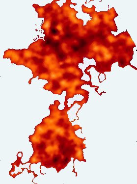 Ap. 4,7: Il 1� vivente era simile ad un leone, il 2� vivente era simile ad un torello, il 3� vivente aveva un volto come d'uomo e il 4� vivente era simile ad un'aquila in volo.