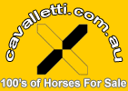 Great Aussie Site!