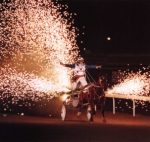 Breathtaking stuntman and horse!
