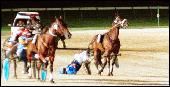 Mark Purdon taking an exit from the sulky the hard way