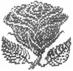bigrose.jpg (10991 bytes)