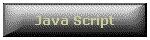 Java Script