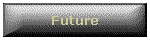 Future