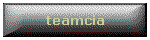 teamcia