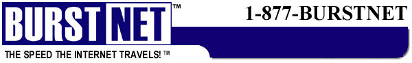 Burst.Net logo