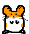 The hampster dance