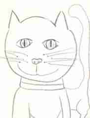 Cat face