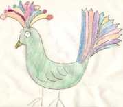 Pretty peacock