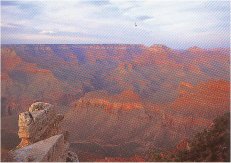Grand Canyon 8