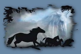 Horse Picture