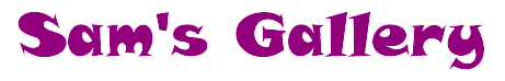 Sam's Gallery title