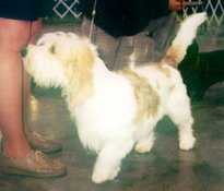 Bijou