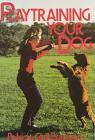 Play Training Your Dog