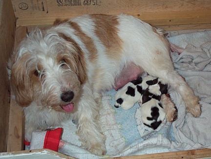 New Borns