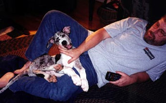 bullwinkle008.jpg