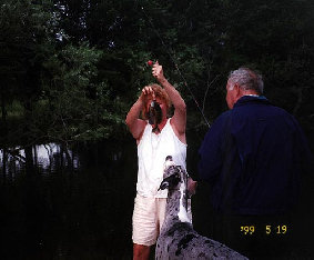bullwinkle020.jpg
