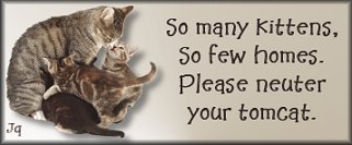 Spay and Neuter