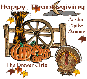 Thanksgiving Card