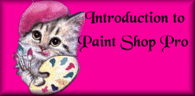 Paint Shop Pro Guild