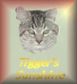 TIGGER'S SUNSHINE