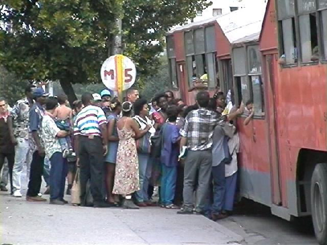 Cuban bus