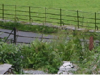 Detail, top of the fence