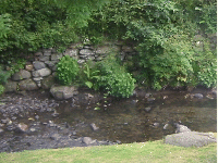 Stream at Bassenthwaite 
