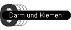 Darm und Kiemen