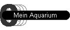 Mein Aquarium