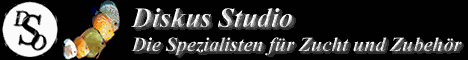 DiskusStudio468x60.gif (9778 Byte)