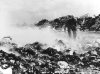 Basural VII (83Kb)