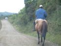 Camino a Puihuil