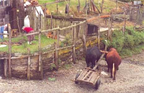 Isla Mechuque