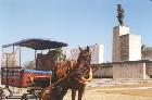 Santa Clara - Che