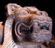 felino