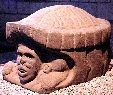 tortuga