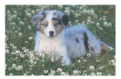 &copy; Ellen Brandenburg & Amy Garrison