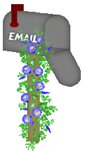 Email!