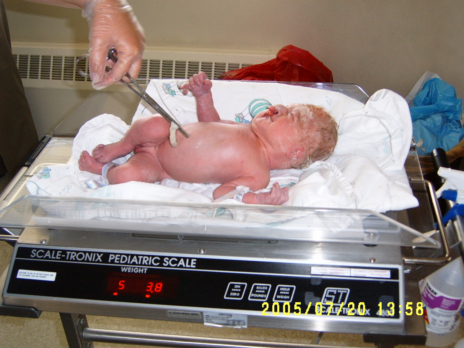 5 pounds and 3 ounces