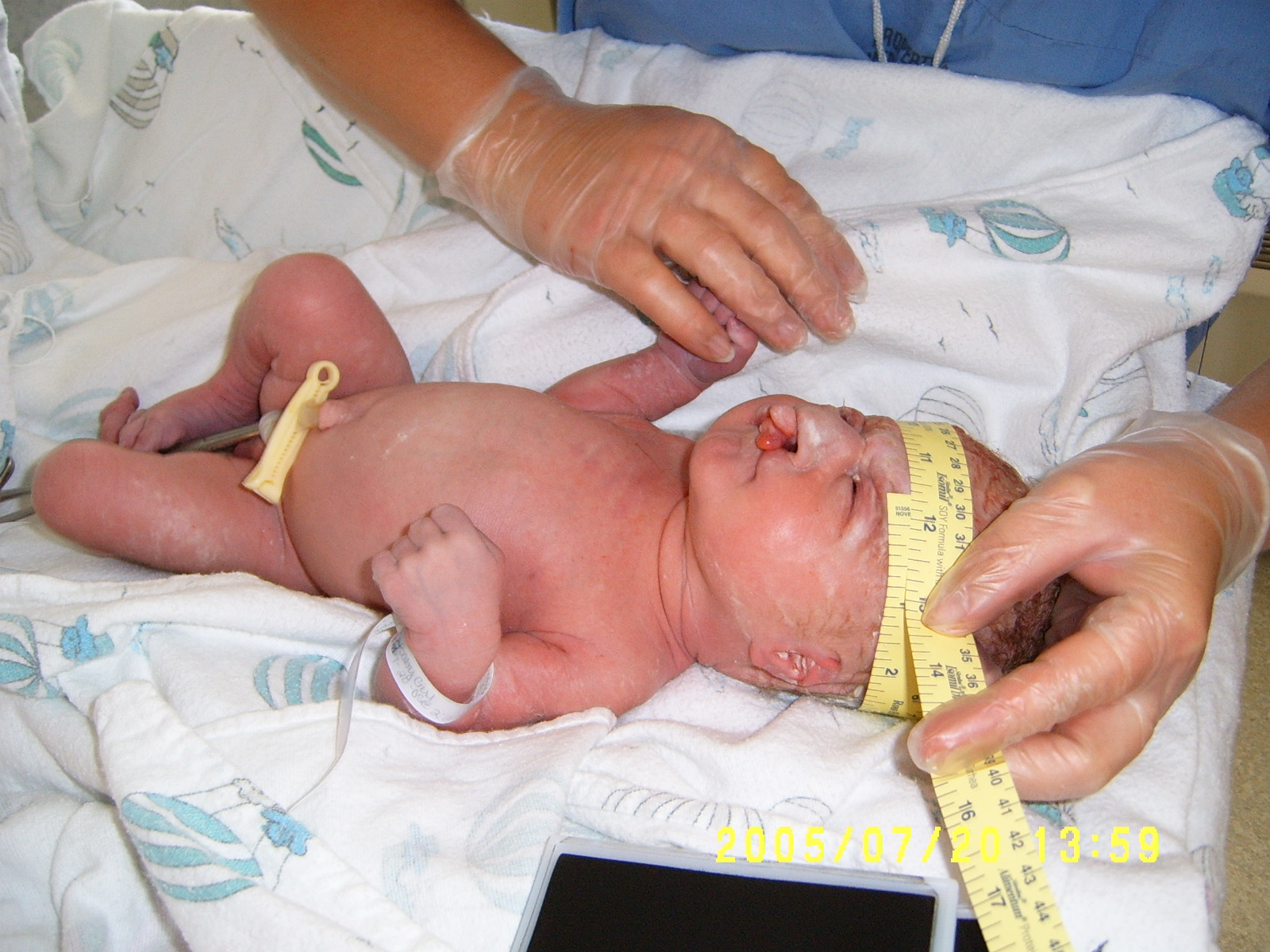 Kalysta was 18 inches long and her head was 12 inches