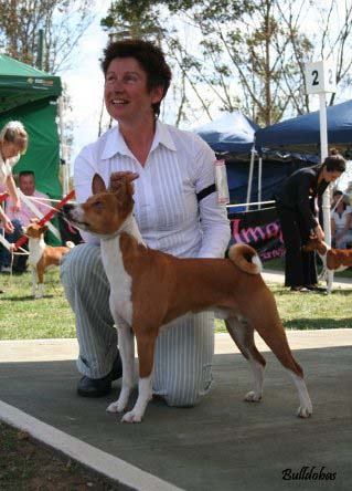 Felix winning Australian Bred In Show