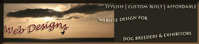 Web Design and Search Engine Optimisation