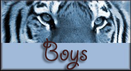 Our Boys