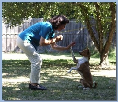 High Five